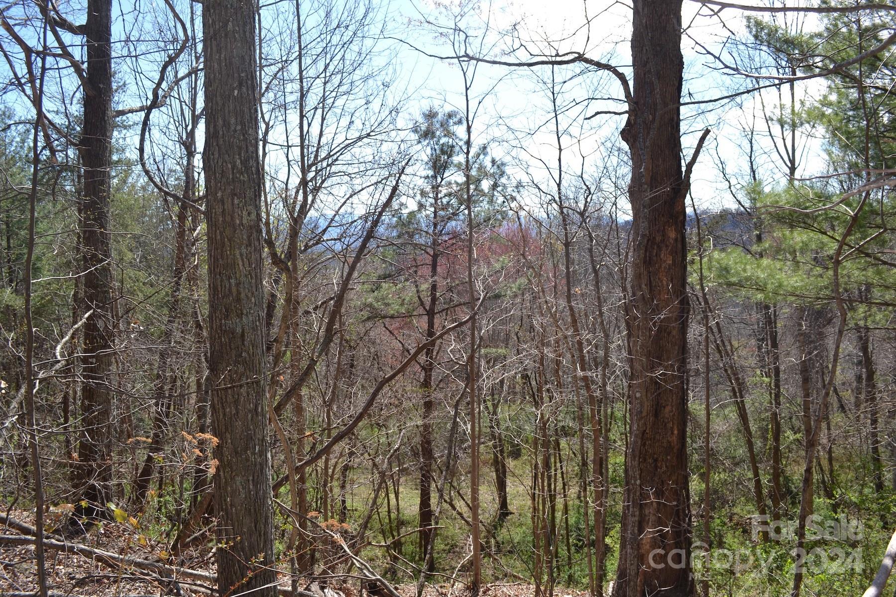 Lot 9 Town Mountain Road Asheville, NC 28804 - Photo 6 of 16