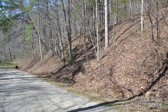 $199,000 | Lot 9 Town Mountain Road, Asheville, NC 28804