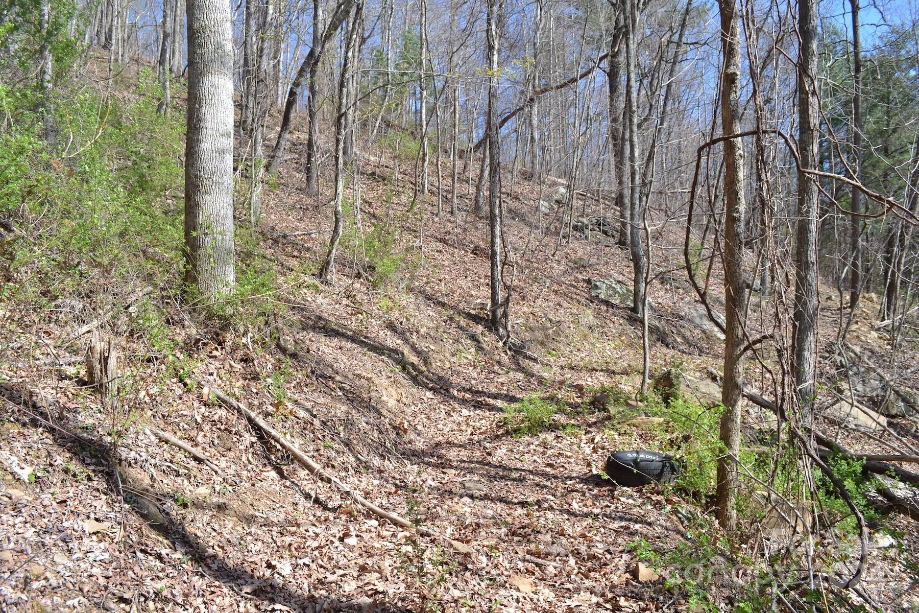 Lot 9 Town Mountain Road Asheville, NC 28804 - Photo 8 of 16