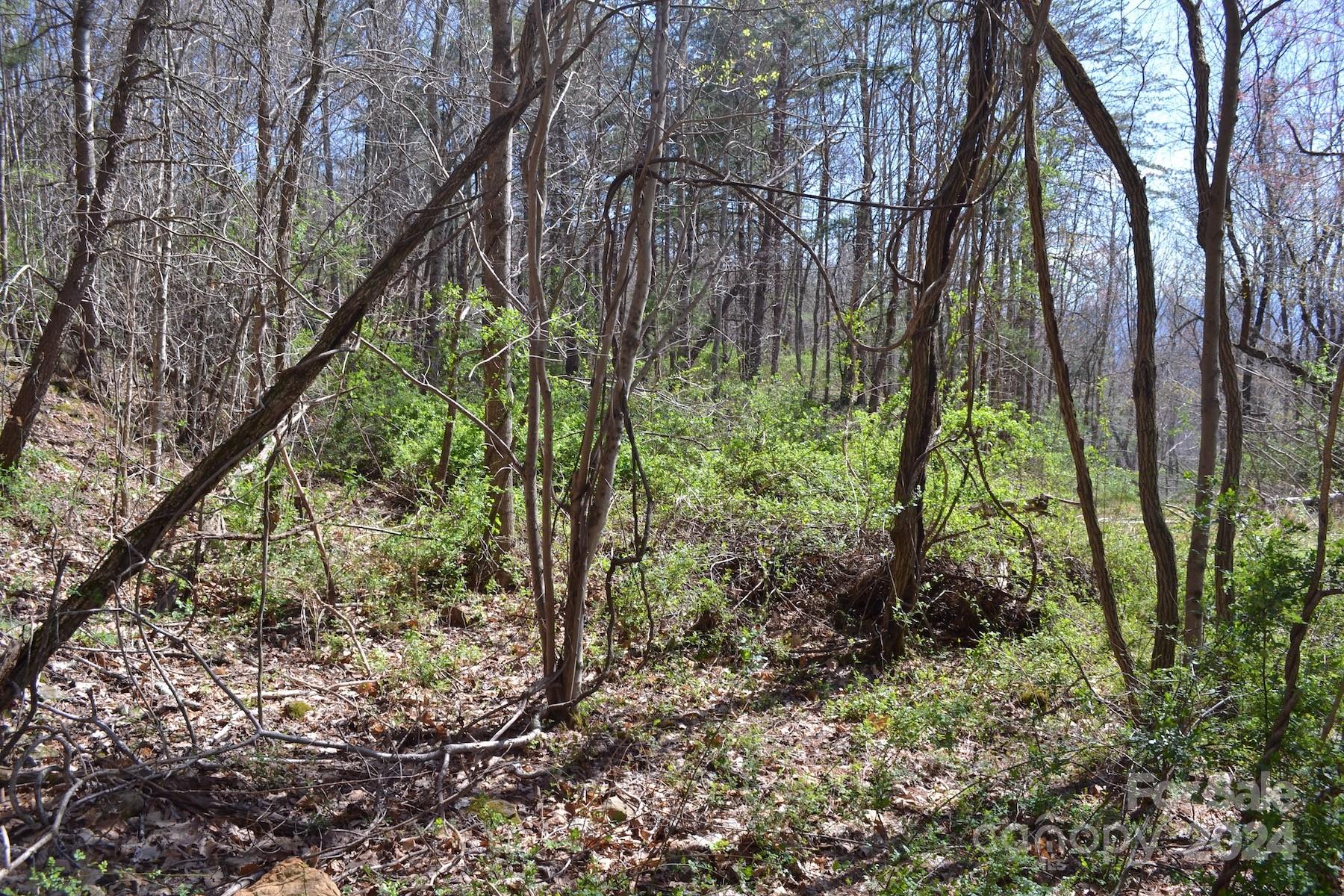 Lot 9 Town Mountain Road Asheville, NC 28804 - Photo 9 of 16