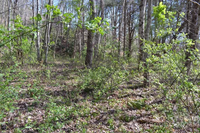 $199,000 | Lot 9 Town Mountain Road, Asheville, NC 28804