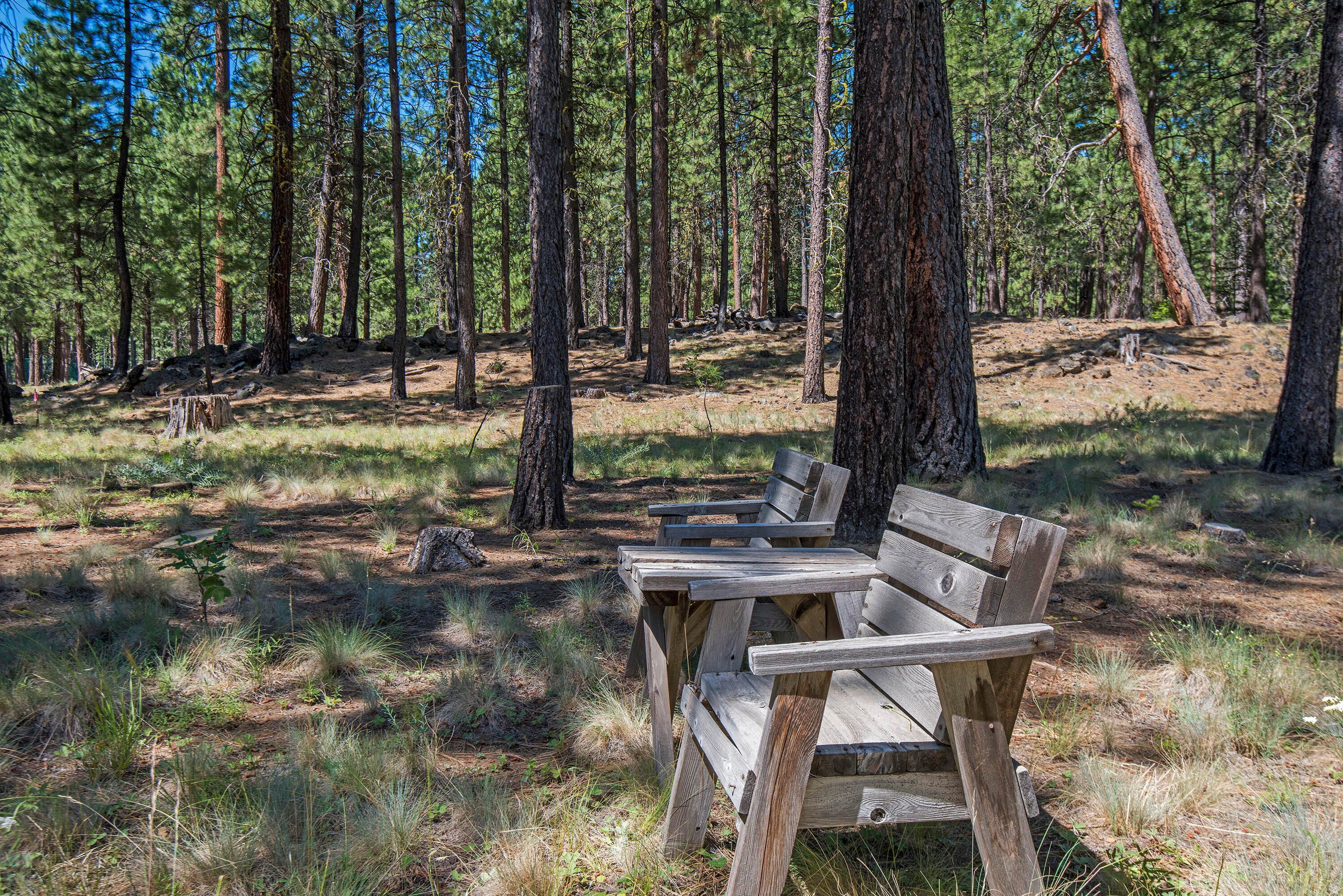 70523 Salal Black Butte Ranch, OR 97759 - Photo 30 of 37 Back Yard