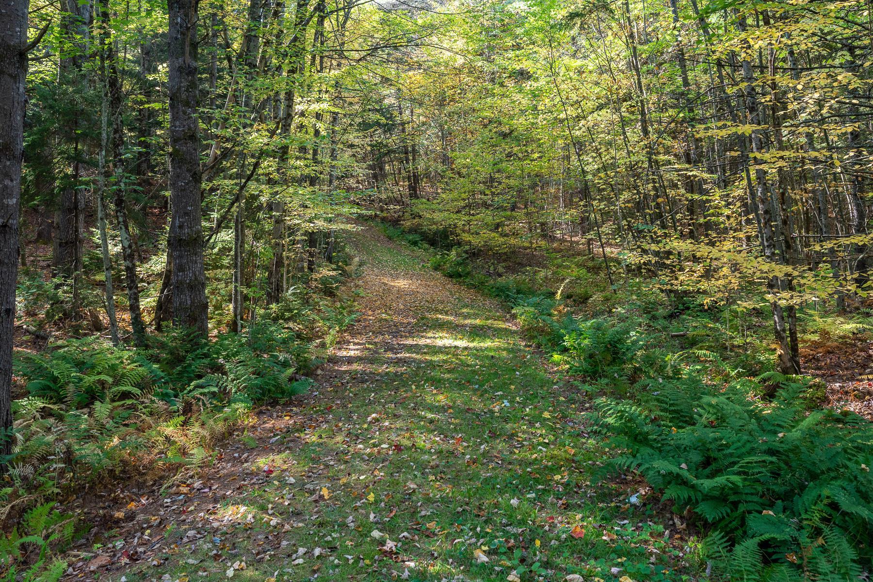 9671 Highway 12 Barnard, VT 05032 - Photo 37 of 49