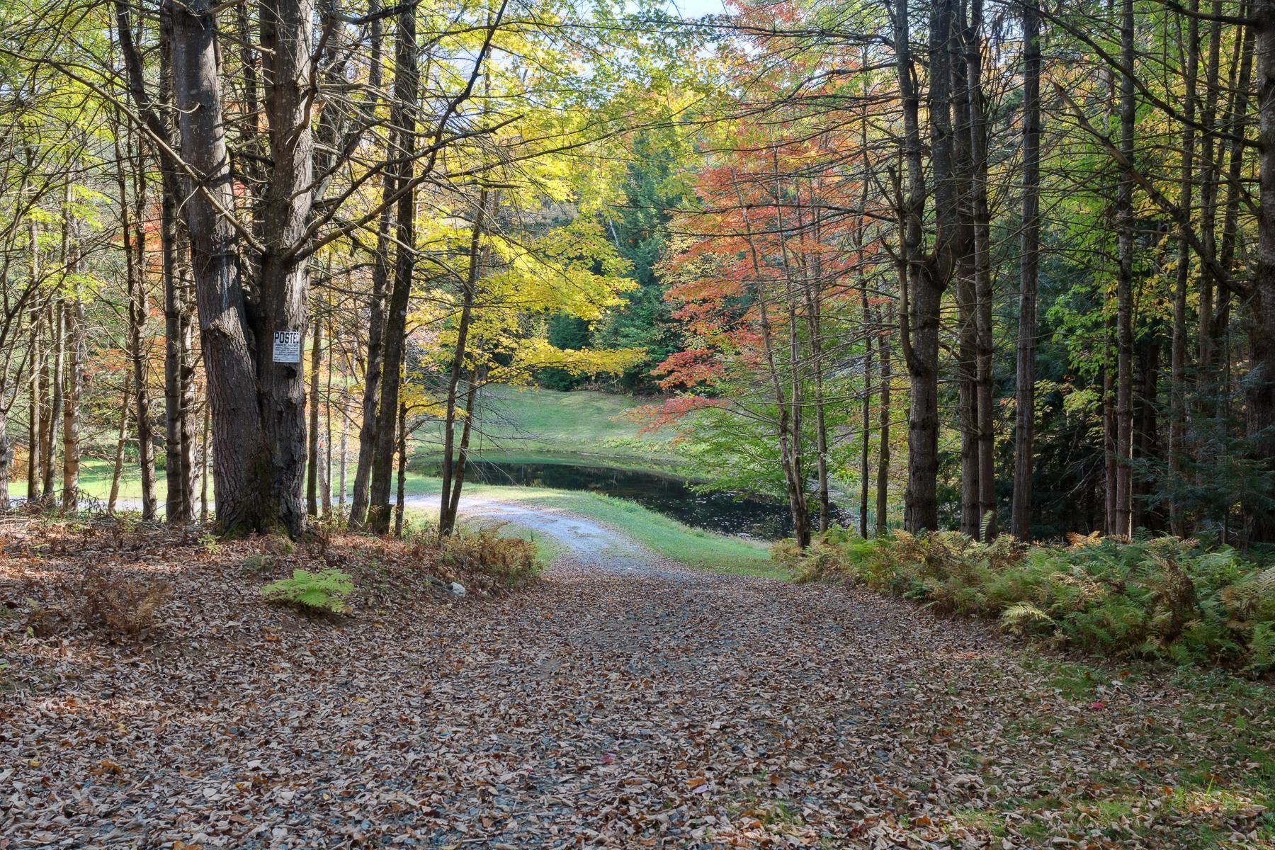 9671 Highway 12 Barnard, VT 05032 - Photo 46 of 49