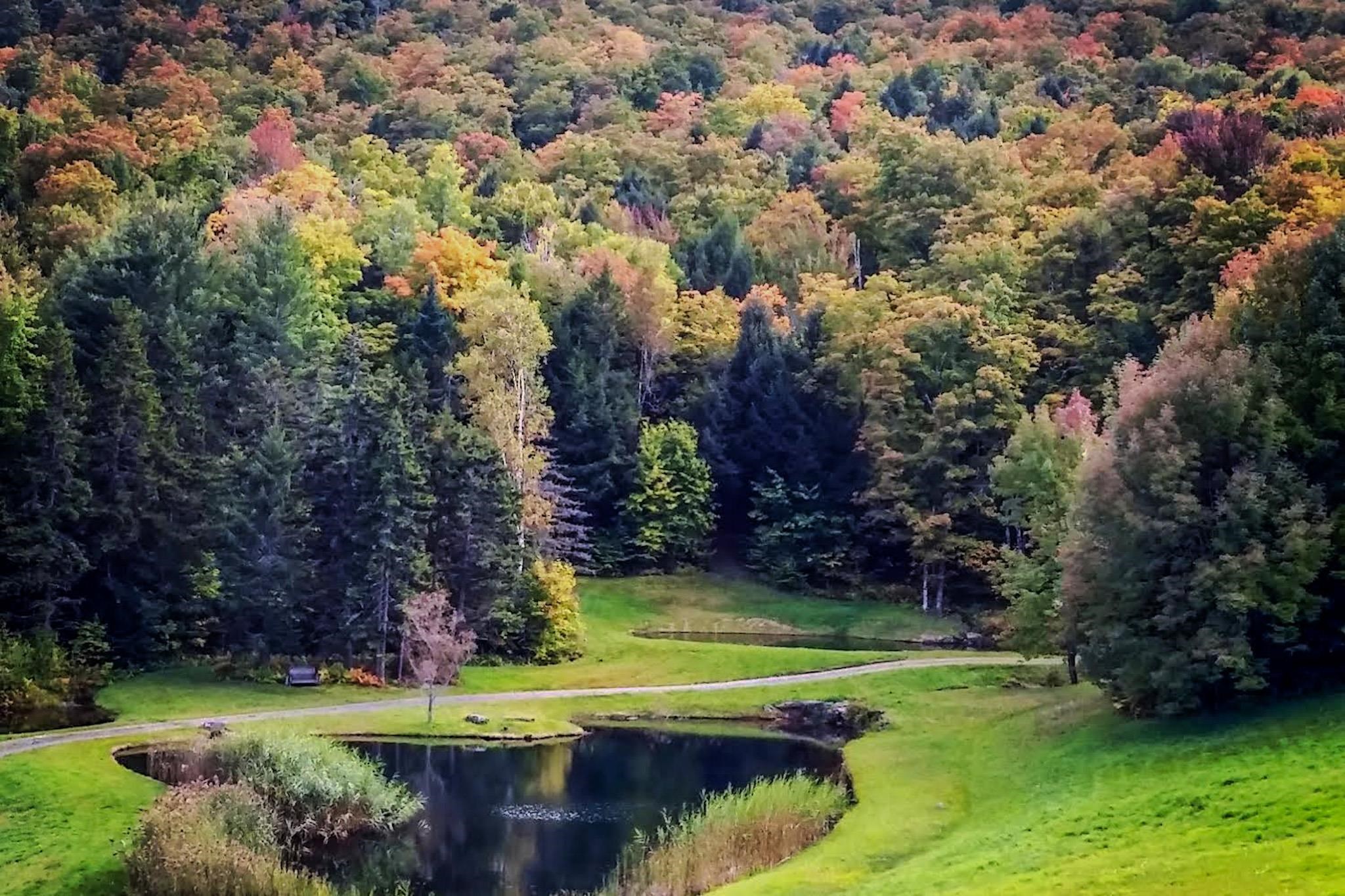 9671 Highway 12 Barnard, VT 05032 - Photo 6 of 49