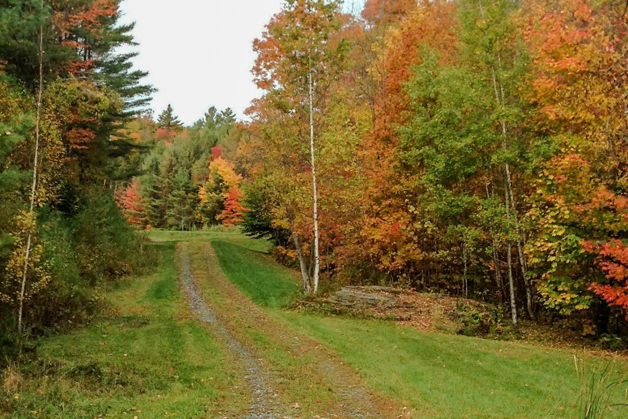 9671 Highway 12 Barnard, VT 05032 - Photo 7 of 49