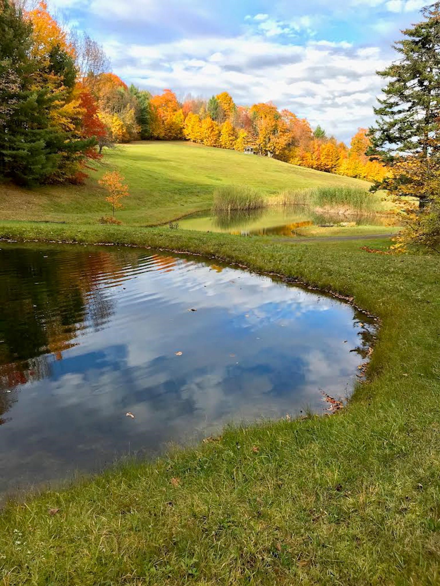 9671 Highway 12 Barnard, VT 05032 - Photo 8 of 49