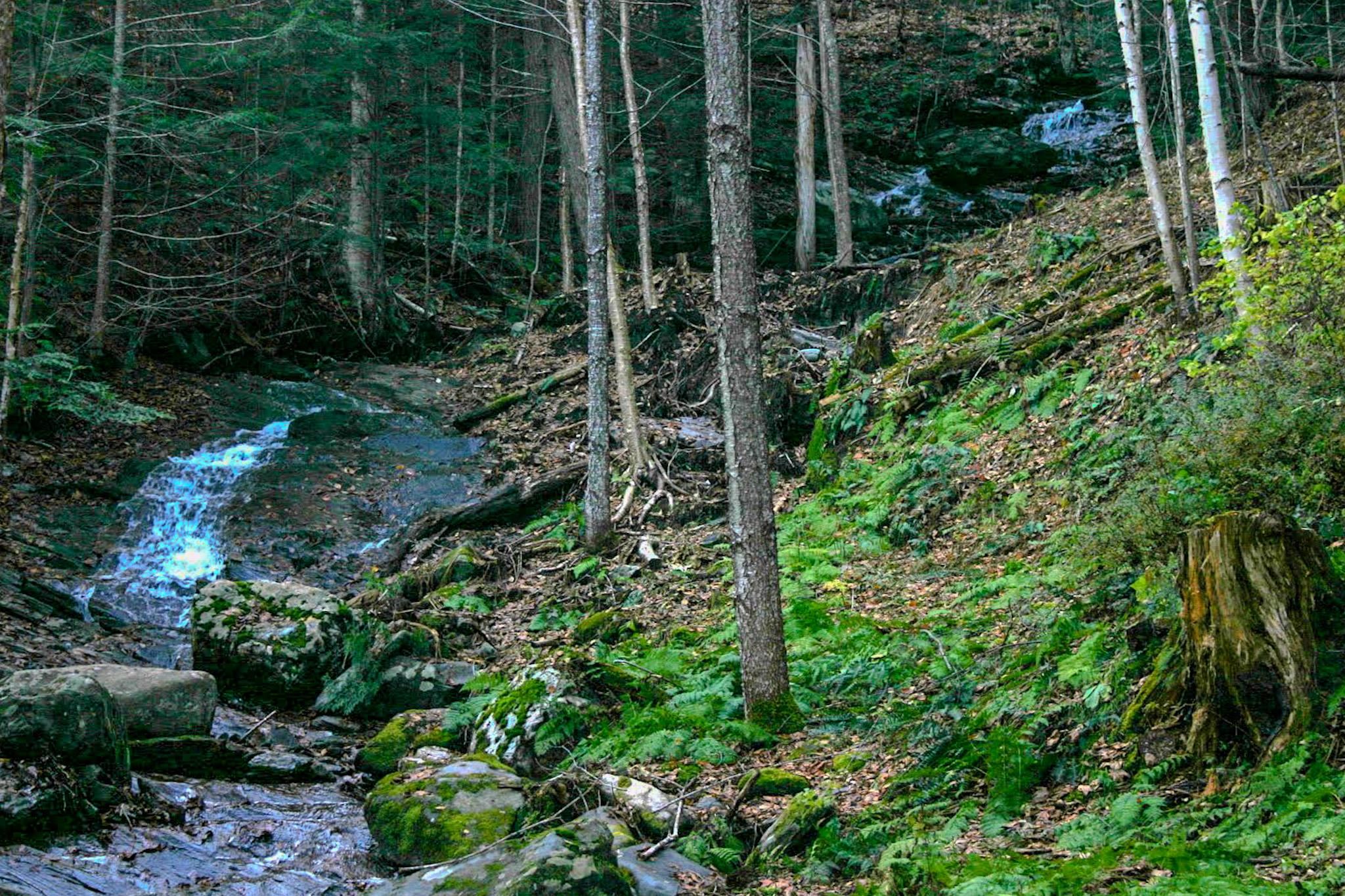 9671 Highway 12 Barnard, VT 05032 - Photo 9 of 49