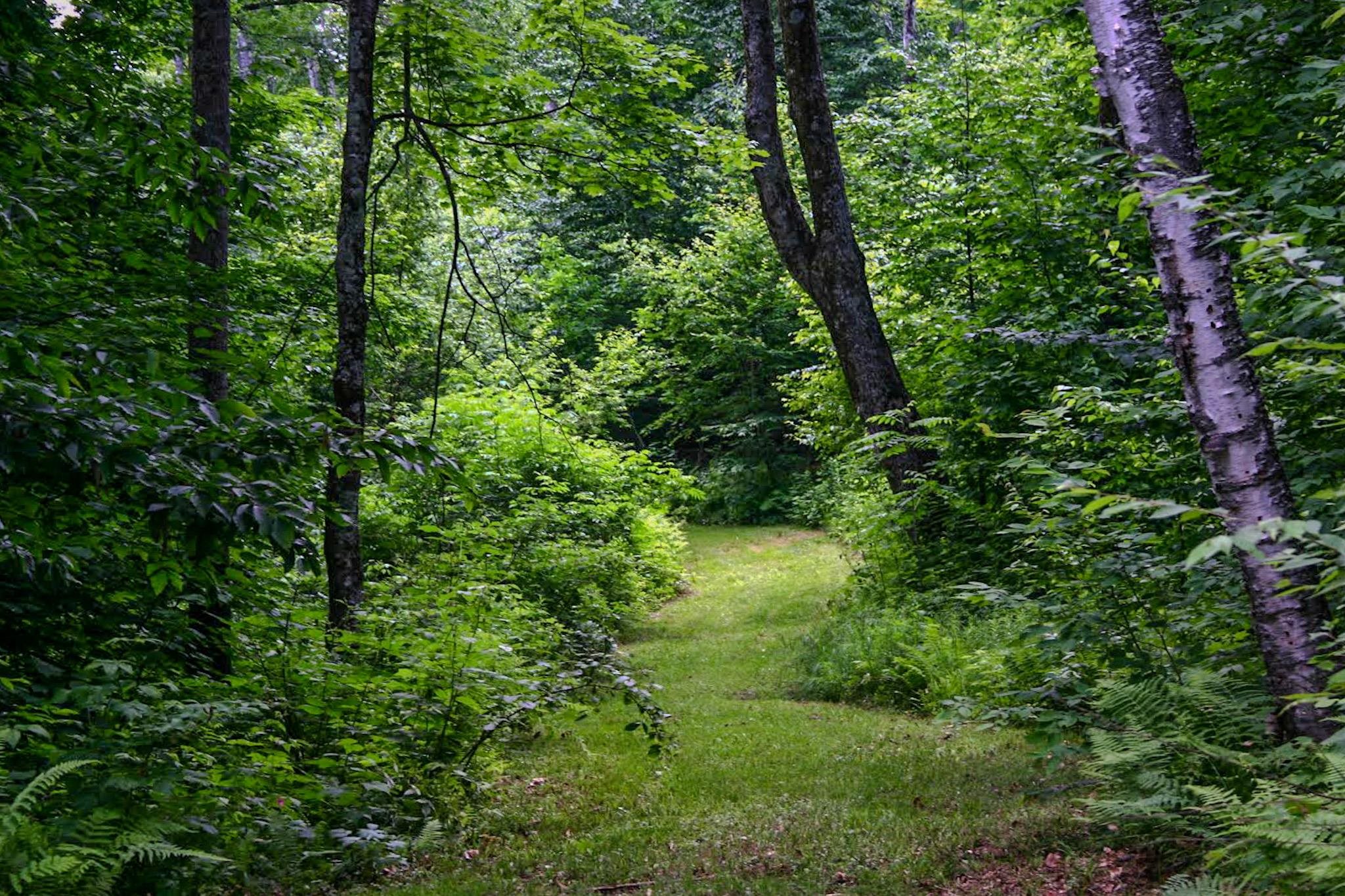 9671 Highway 12 Barnard, VT 05032 - Photo 10 of 49