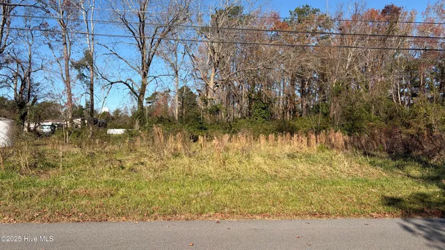 $20,000 | 0 Railroad Street, Belhaven, NC 27810