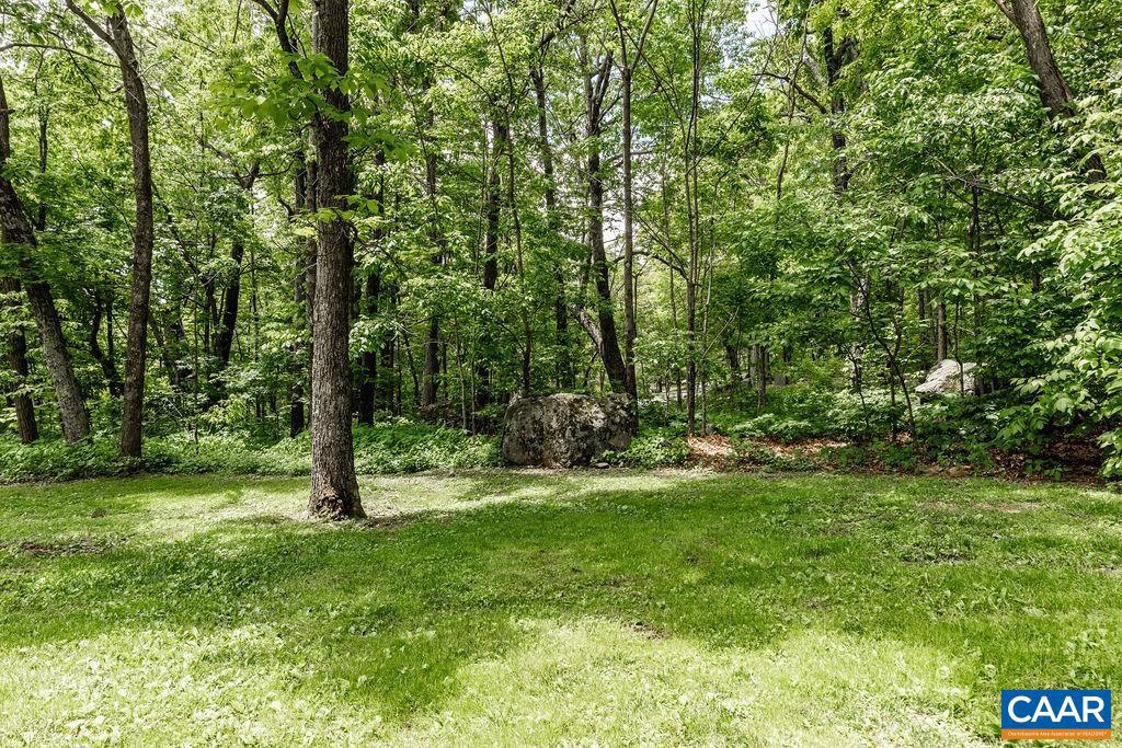 490 Three Ridges Roseland, VA 22967 - Photo 25 of 27 a view of a trees with a yard