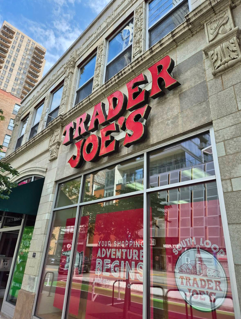 1200 South Federal Street, Unit C Chicago, IL 60605 - Photo 18 of 20