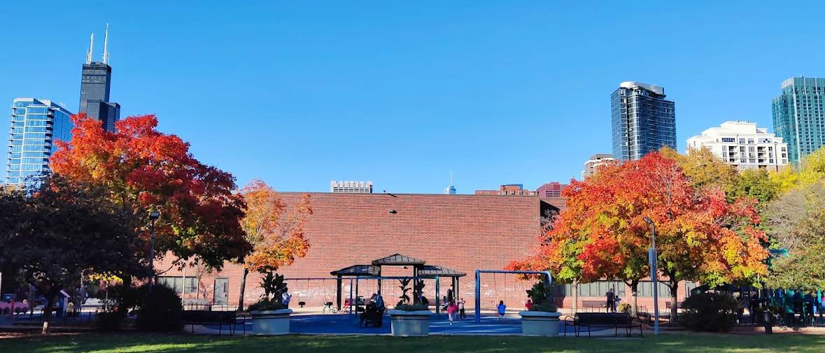 1200 South Federal Street, Unit C Chicago, IL 60605 - Photo 20 of 20 front view of house with a yard
