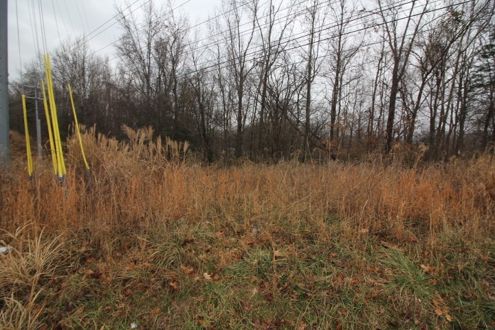 0 Paradise Hill Road Clarksville, TN 37040 - Photo 4 of 7 a view of a yard