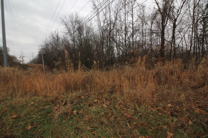 0 Paradise Hill Road Clarksville, TN 37040 - Photo 5 of 7 a view of a yard