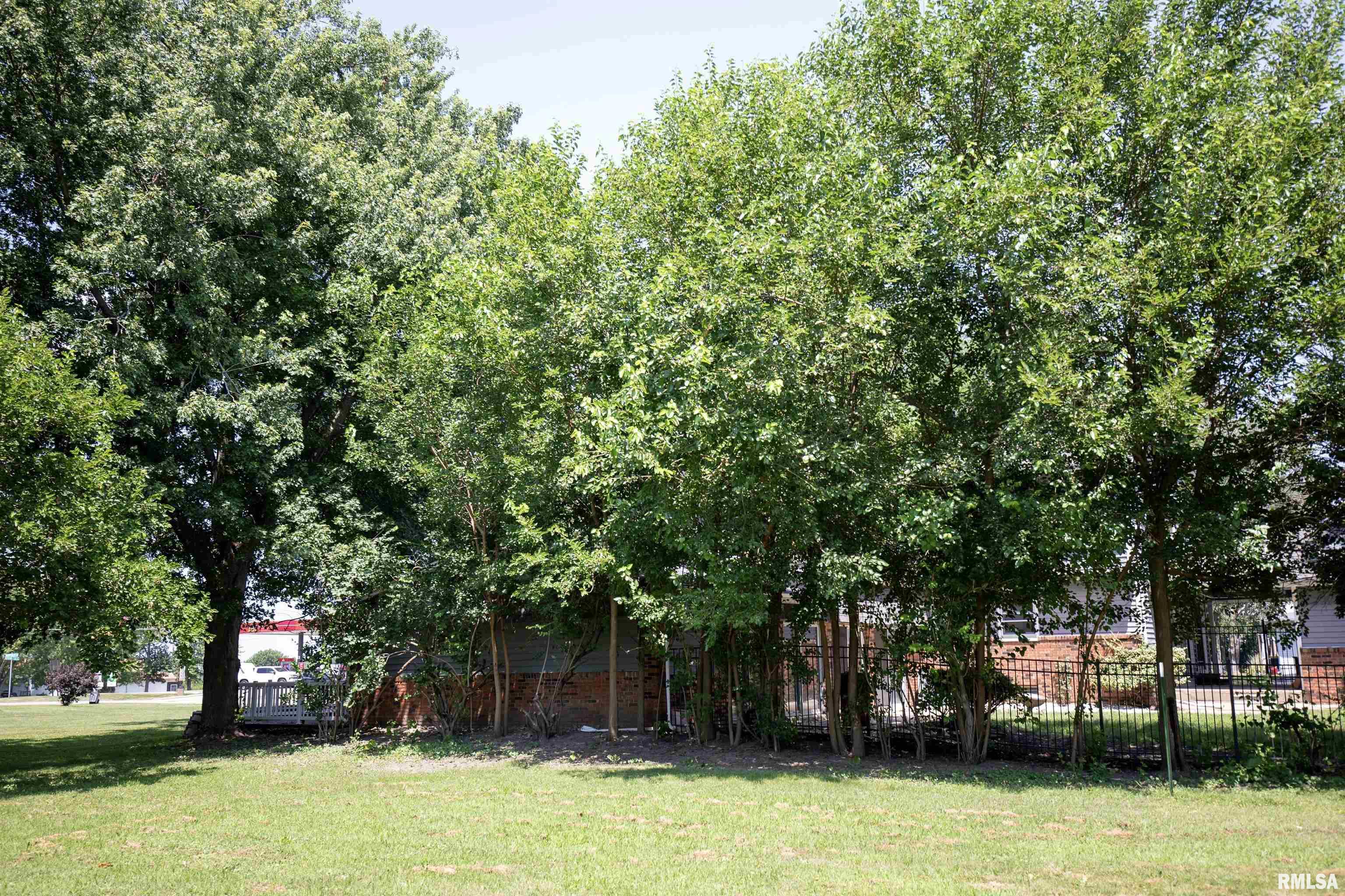 217 Sheffield Road Groveland, IL 61535 - Photo 47 of 54 Gallery Image 47