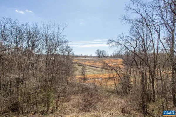 a view of a yard with large trees