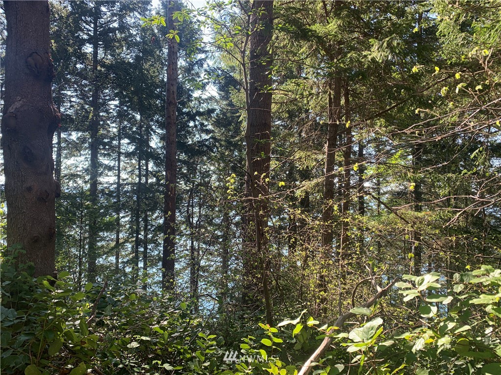 0 McDonald Road Quilcene, WA 98376 - Photo 1 of 34