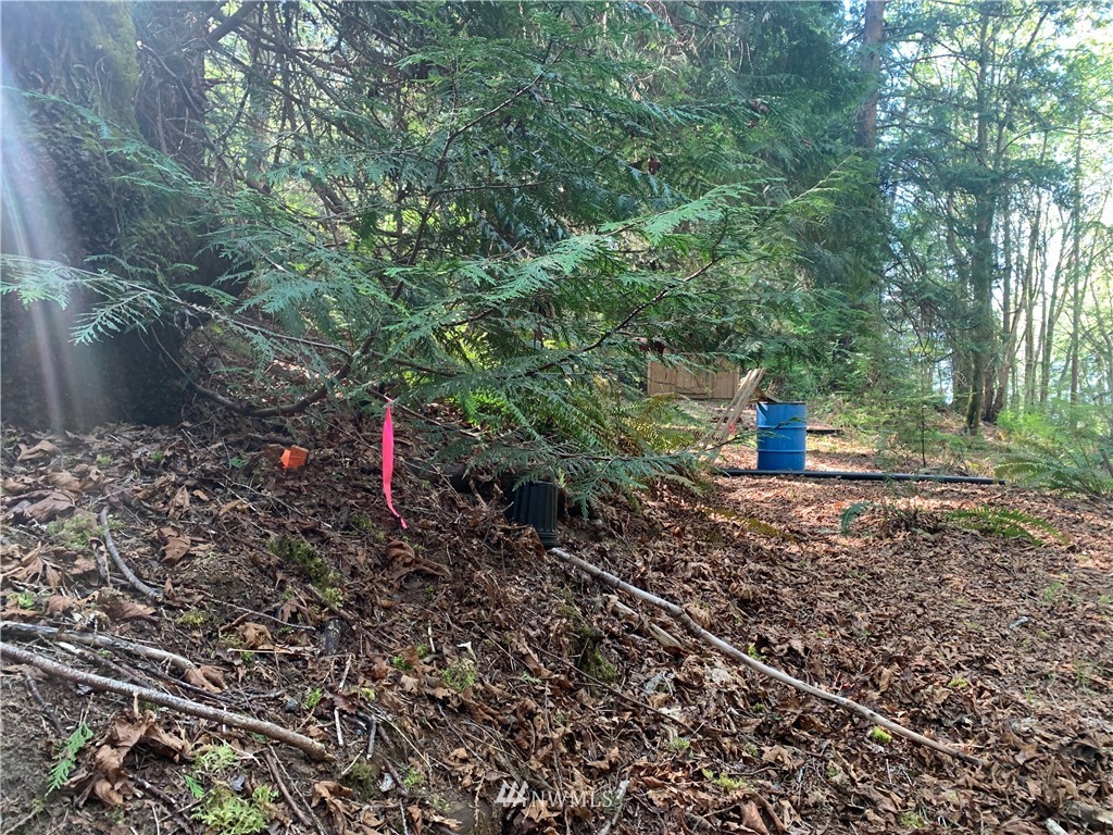 0 McDonald Road Quilcene, WA 98376 - Photo 11 of 34