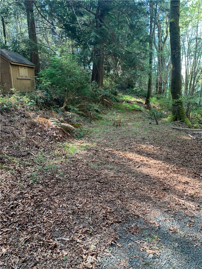 0 McDonald Road Quilcene, WA 98376 - Photo 15 of 34
