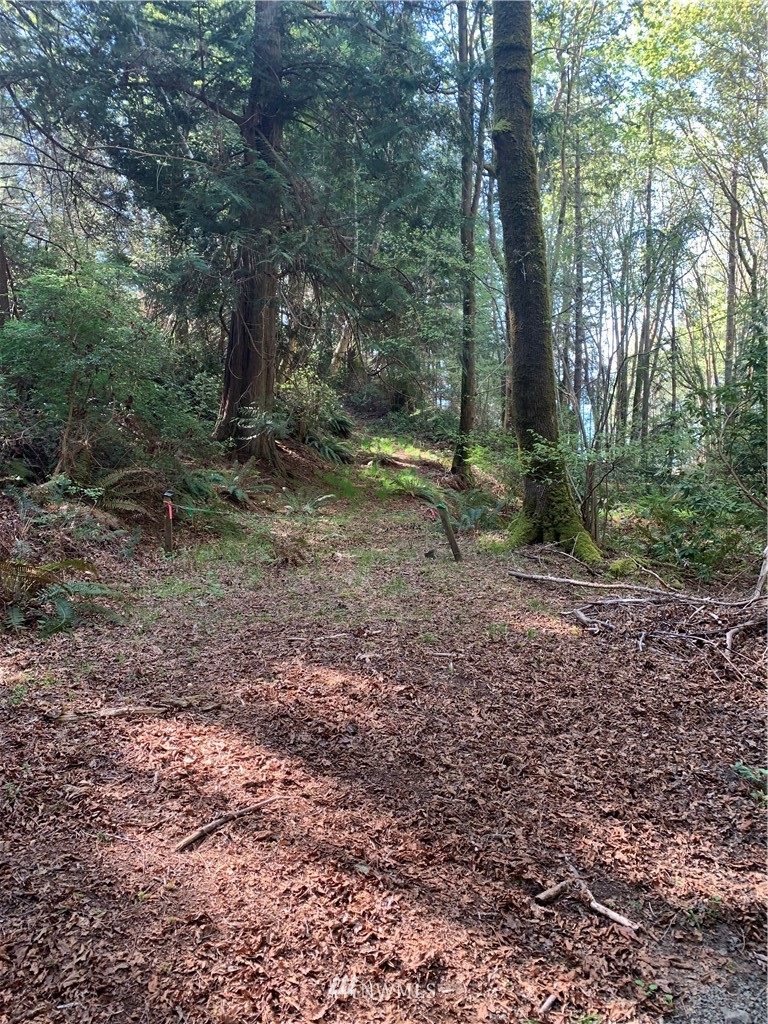 0 McDonald Road Quilcene, WA 98376 - Photo 16 of 34