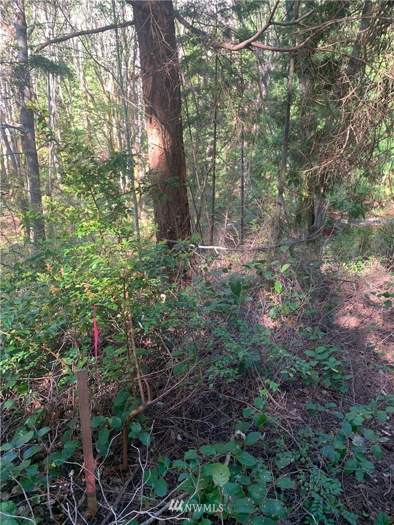 0 McDonald Road Quilcene, WA 98376 - Photo 20 of 34