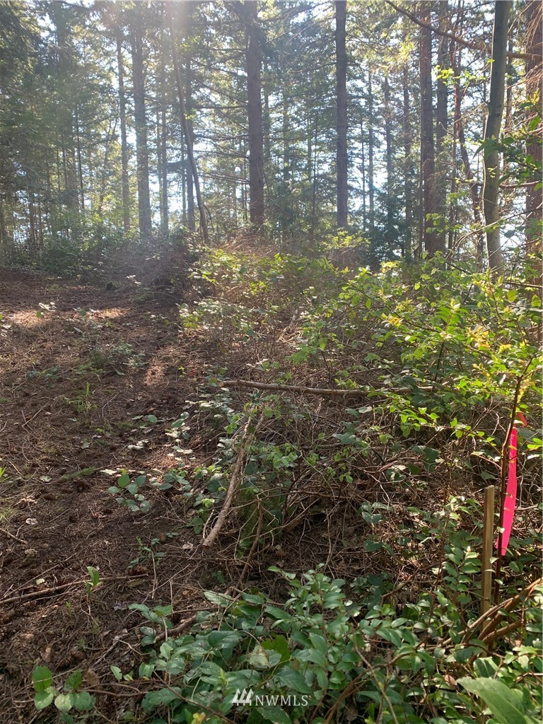 0 McDonald Road Quilcene, WA 98376 - Photo 21 of 34