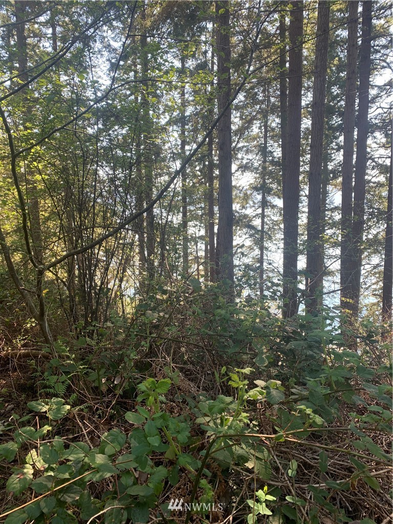 0 McDonald Road Quilcene, WA 98376 - Photo 24 of 34