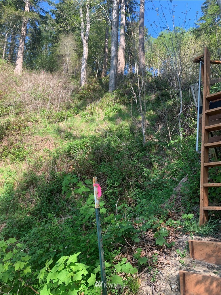 0 McDonald Road Quilcene, WA 98376 - Photo 27 of 34