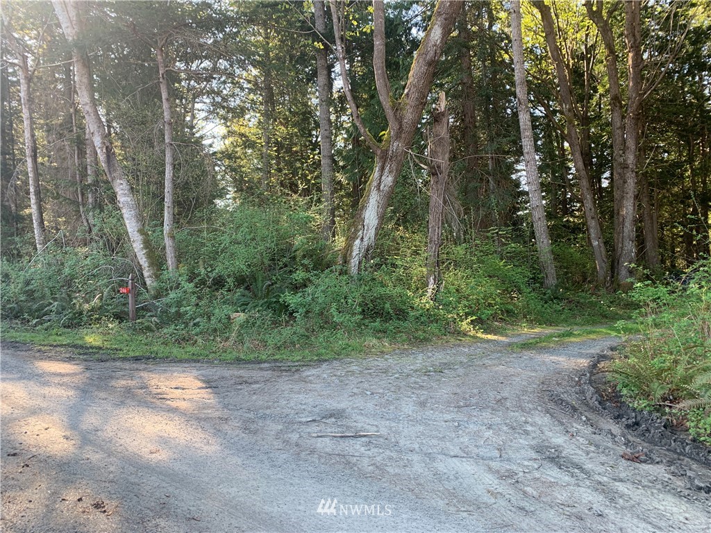 0 McDonald Road Quilcene, WA 98376 - Photo 7 of 34