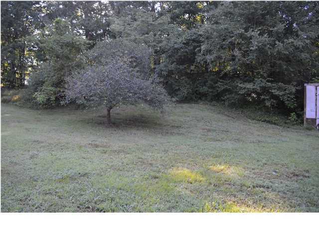 7410 Moses Road Hixson, TN 37343 - Photo 3 of 5 Additional Photo