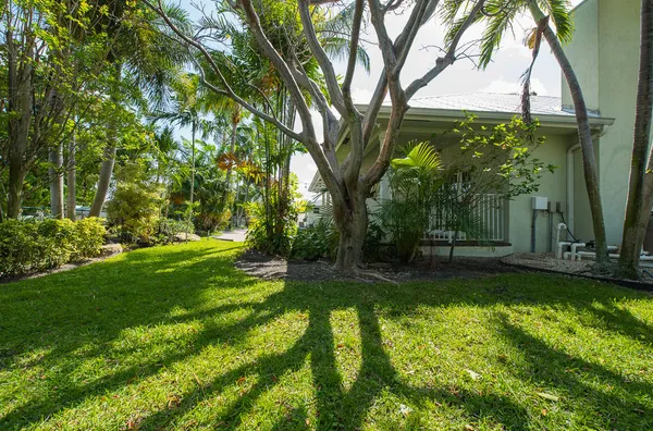 a view of a backyard with large trees