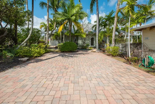 a sidewalk with a palm trees