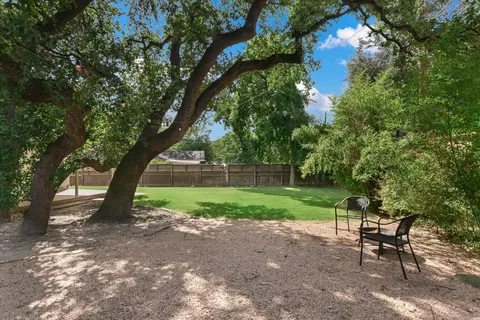 a view of a yard with a tree