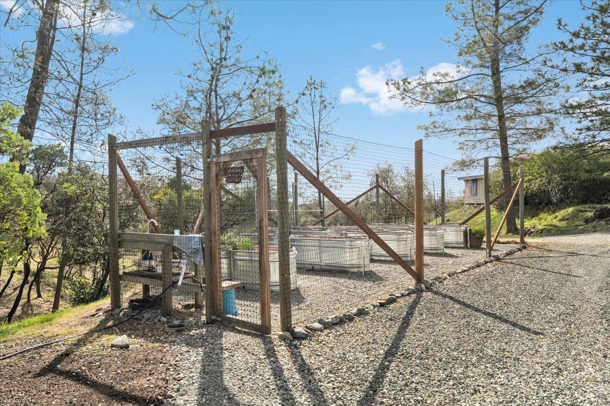 15666 Wolf Mountain Road Grass Valley, CA 95949 - Photo 37 of 78