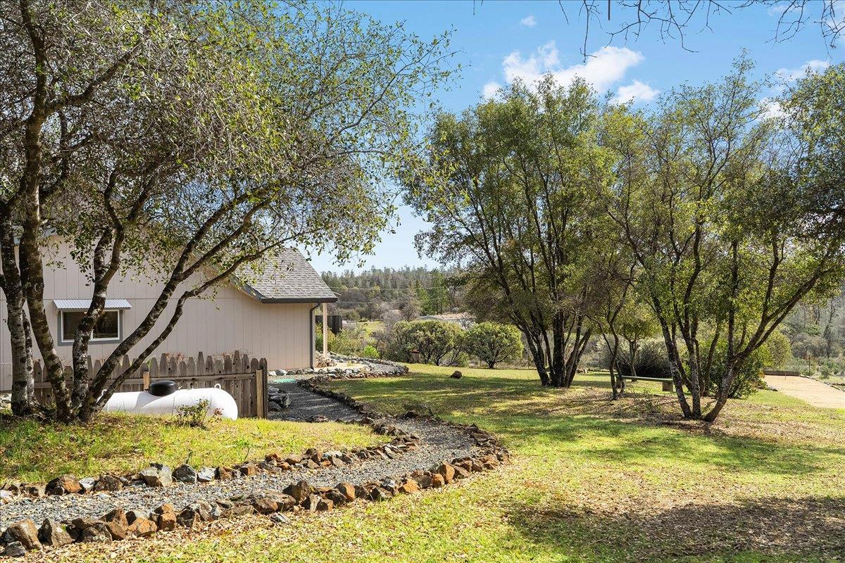 15666 Wolf Mountain Road Grass Valley, CA 95949 - Photo 52 of 78 a view of a yard with large trees