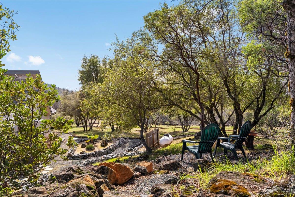 15666 Wolf Mountain Road Grass Valley, CA 95949 - Photo 57 of 78 a backyard of a house with lots of green space