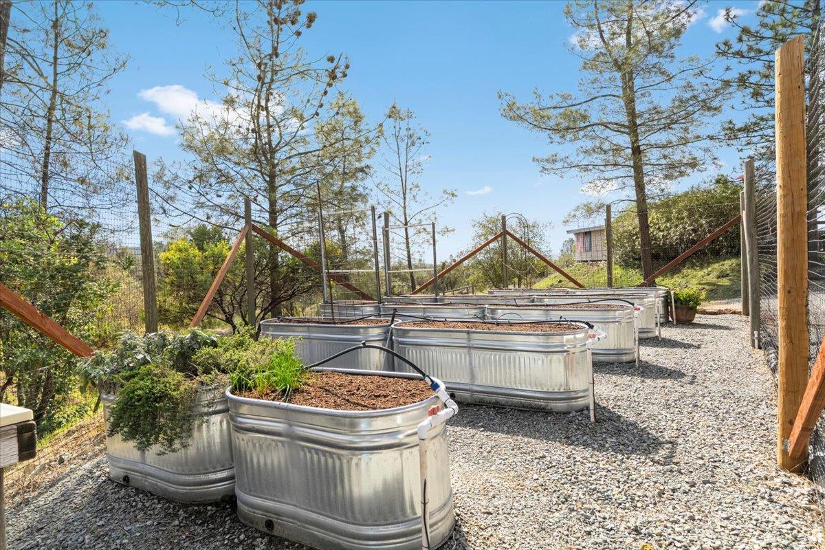 15666 Wolf Mountain Road Grass Valley, CA 95949 - Photo 6 of 78 a backyard of a house with outdoor seating