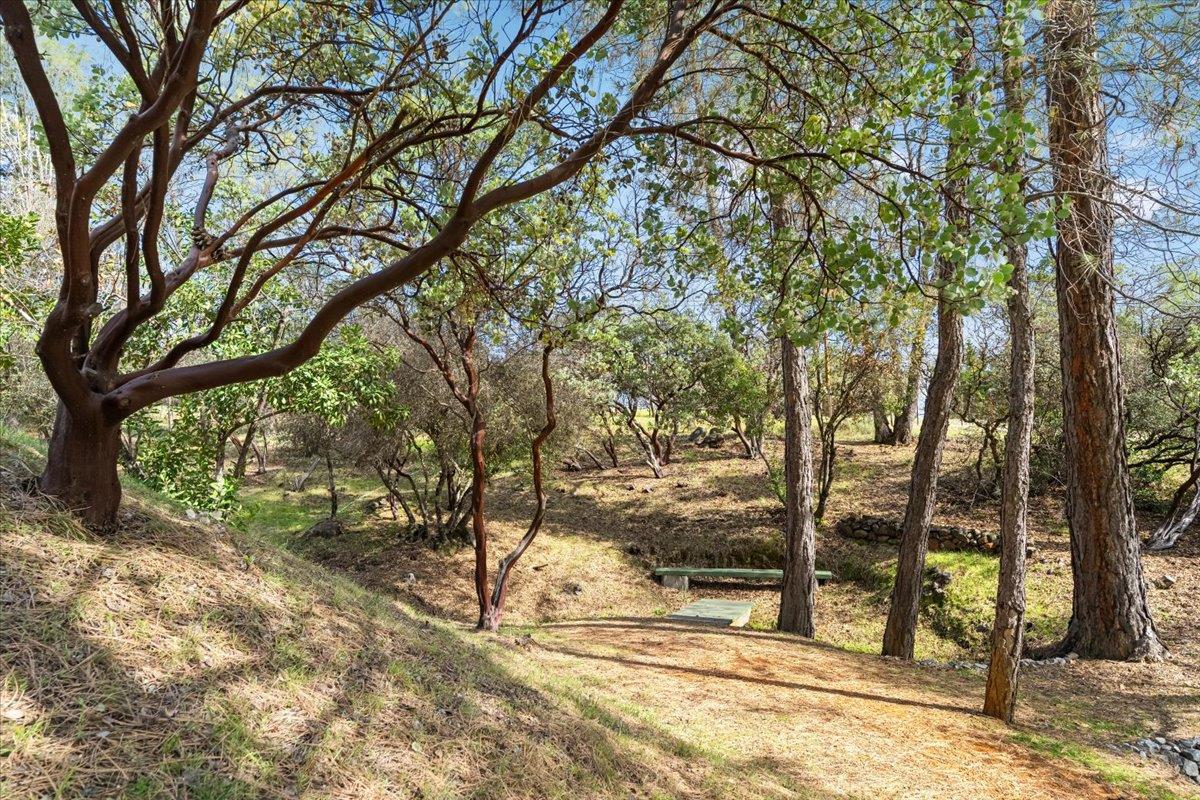 15666 Wolf Mountain Road Grass Valley, CA 95949 - Photo 61 of 78