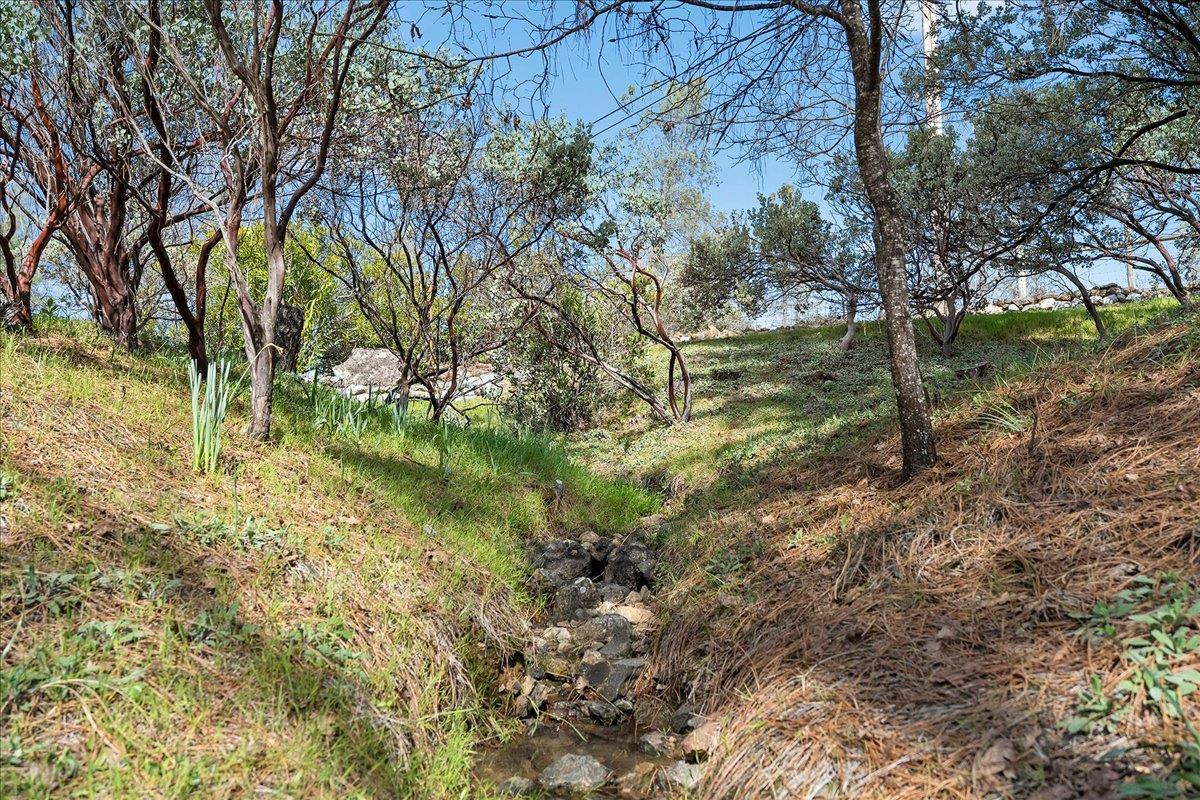 15666 Wolf Mountain Road Grass Valley, CA 95949 - Photo 64 of 78 a backyard of a house with lots of green space