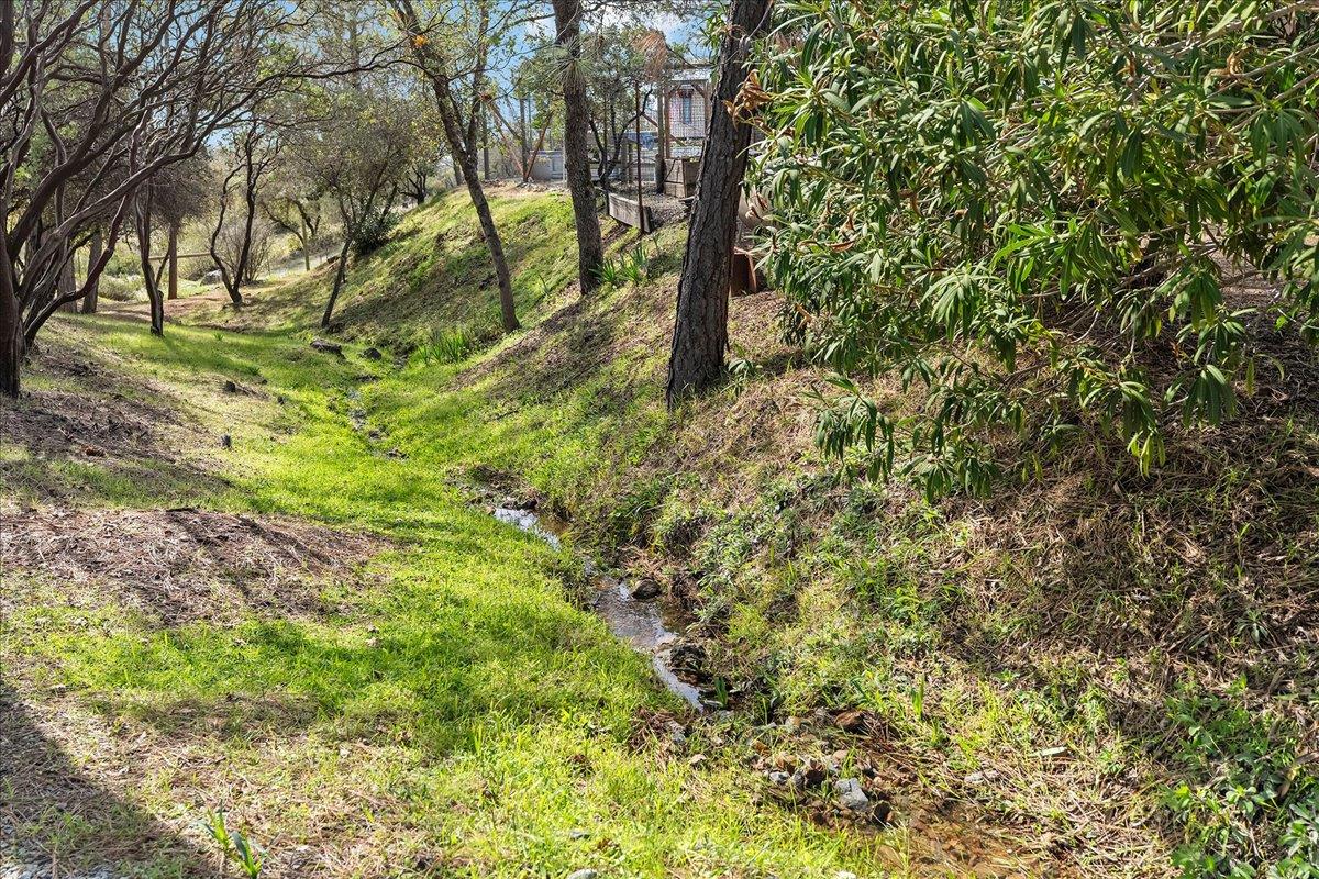 15666 Wolf Mountain Road Grass Valley, CA 95949 - Photo 65 of 78 a backyard of a house with lots of plants and tree
