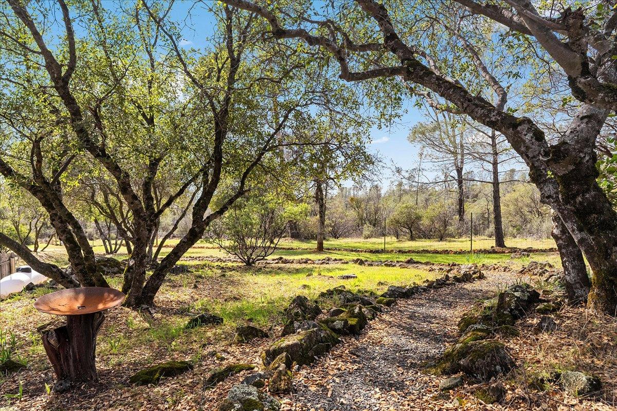 15666 Wolf Mountain Road Grass Valley, CA 95949 - Photo 66 of 78 a view of a yard with an trees