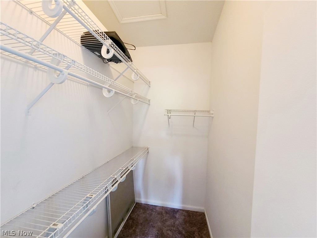 6799 Tippecanoe Road, Unit 4 Canfield, OH 44406 - Photo 17 of 20