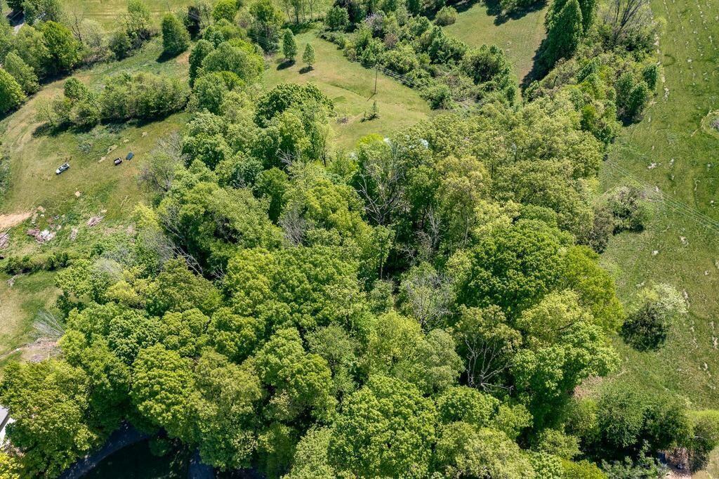 280 Lester Road Blountville, TN 37617 - Photo 13 of 66 13