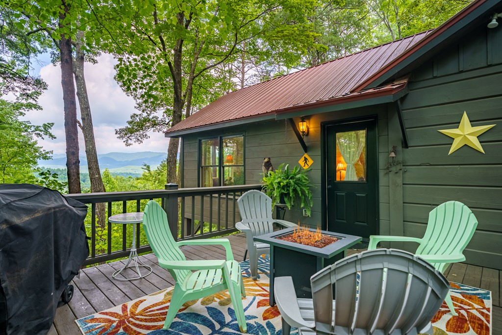 600 Cohutta Mountain Road Blue Ridge, GA 30513 - Photo 9 of 46