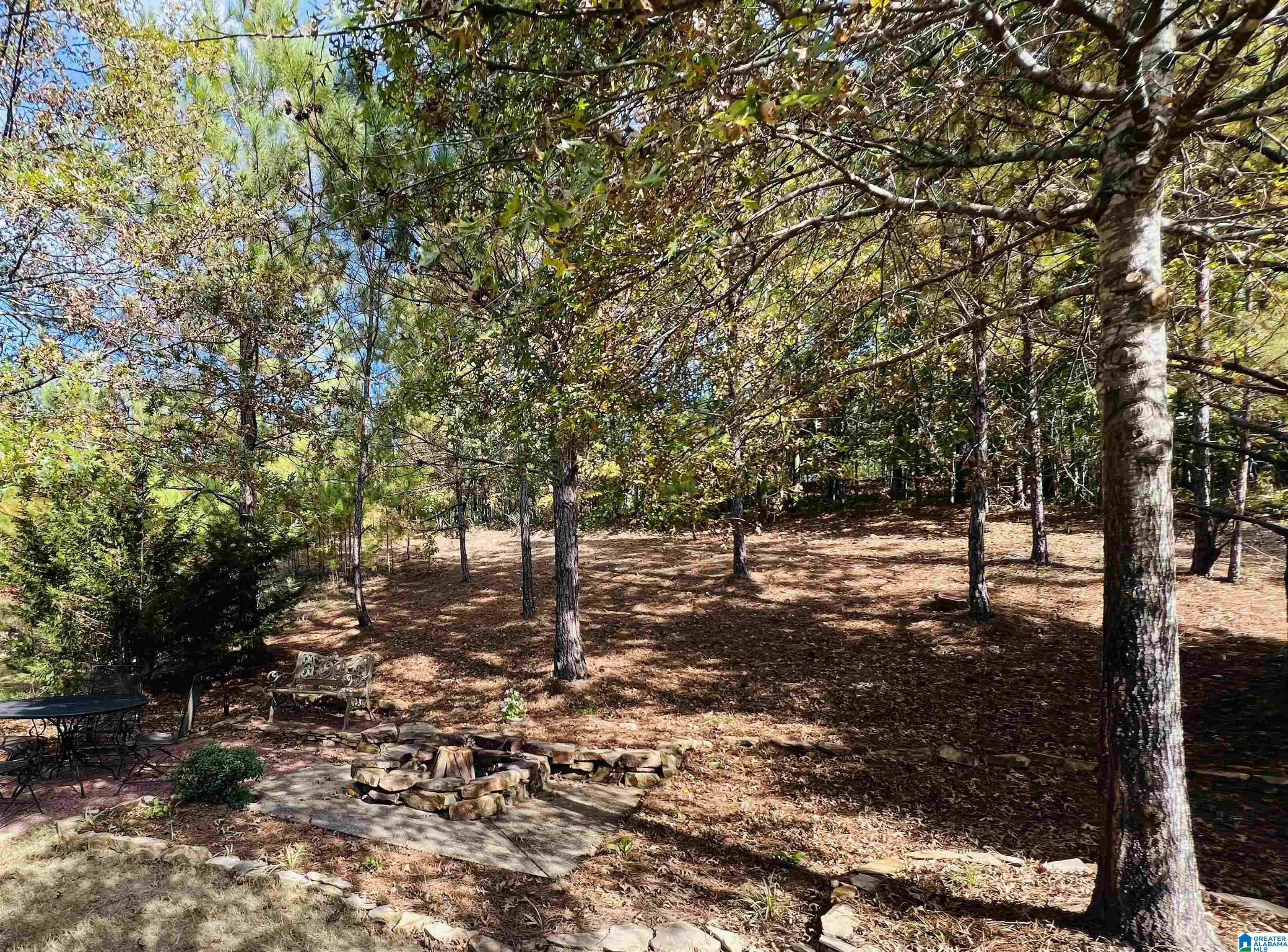402 Ballantrae Road Pelham, AL 35124 - Photo 82 of 89