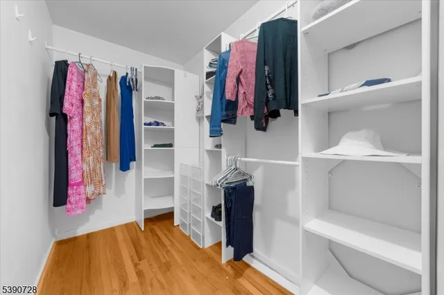 a view of walk in closet with clothes and shoes