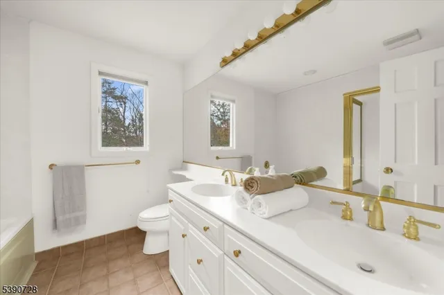 a bathroom with a double vanity sink mirror and toilet