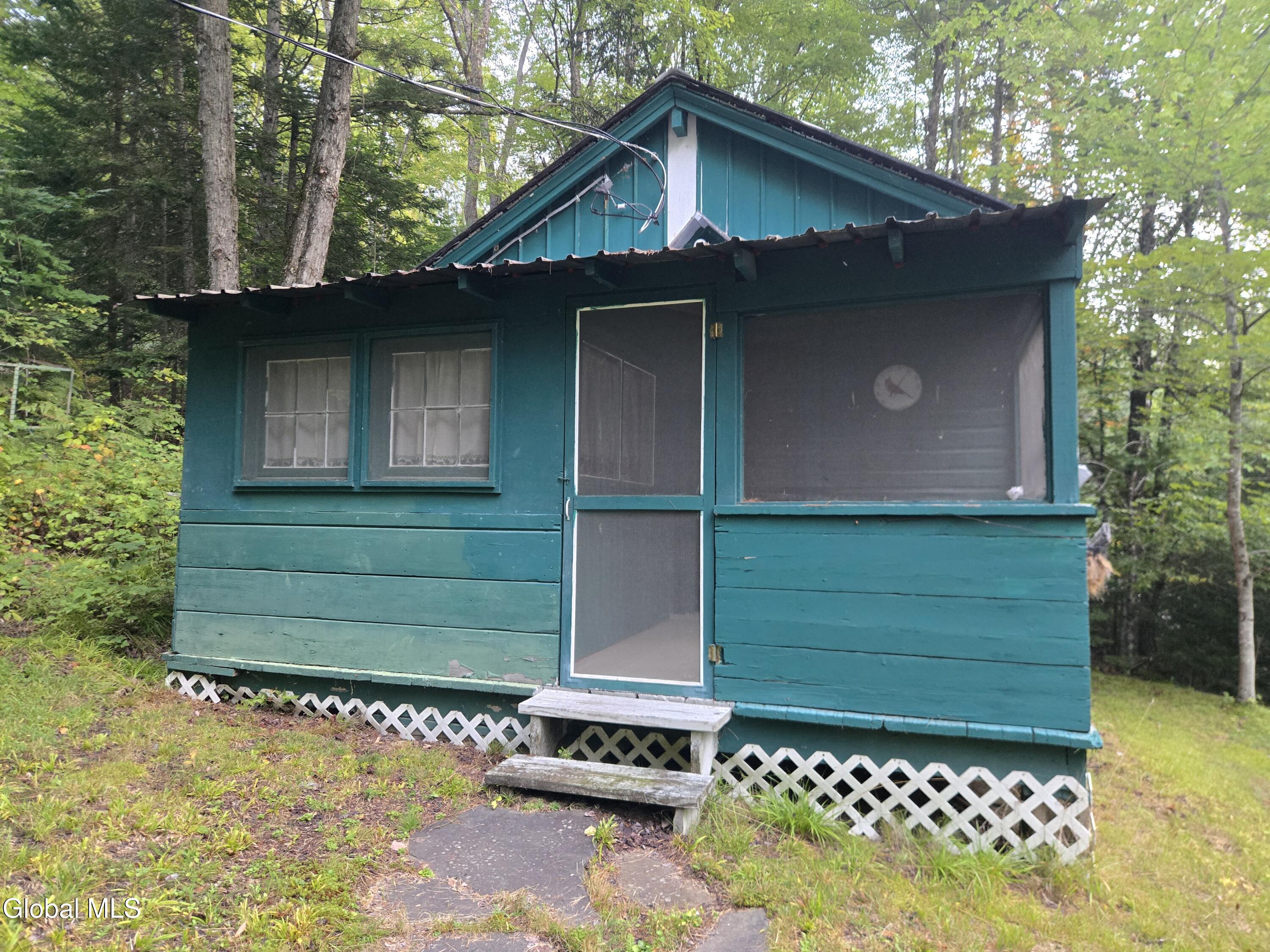 243 Trout Brook Road Minerva, NY 12857 - Photo 2 of 8 Front Porch