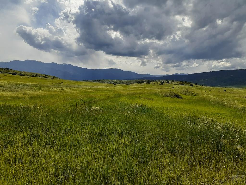 Tbd Apollo Circle Rye, CO 81069 - Photo 6 of 11
